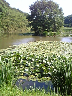 080613_152210.jpg