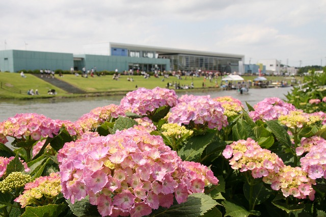 s-道の駅.jpg