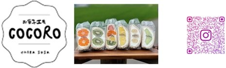 cocoRo_1.jpg